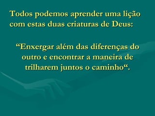 “ Enxergar além das diferenças do outro e  encontrar a maneira de trilharem juntos o caminho“. Todos podemos aprender uma lição com estas duas criaturas de Deus: 