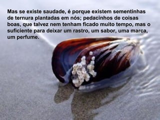 Mas se existe saudade, é porque existem sementinhas de ternura plantadas em nós; pedacinhos de coisas boas, que talvez nem tenham ficado muito tempo, mas o suficiente para deixar um rastro, um sabor, uma marca, um perfume. 
