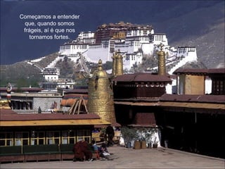 Começamos a entender que, quando somos frágeis, aí é que nos tornamos fortes. 