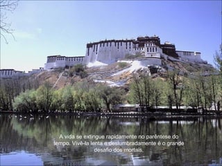 A vida se extingue rapidamente no parêntese do tempo. Vivê-la lenta e deslumbradamente é o grande desafio dos mortais. 