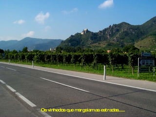 Os vinhedos que margeiam as estradas...... 