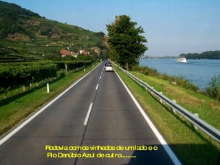Rodovia com os vinhedos de um lado e o Rio Danúbio Azul de outro.......... 