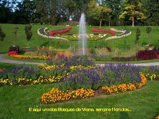 E aqui um dos Bosques de Viena, sempre floridos...  