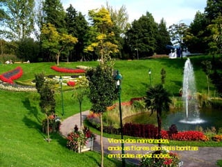 Viena dos namorados, onde as flores são mais bonitas em todas as estações... 