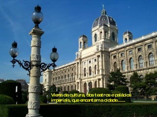Viena da cultura, dos teatros e palácios imperiais, que encantam a cidade....... 