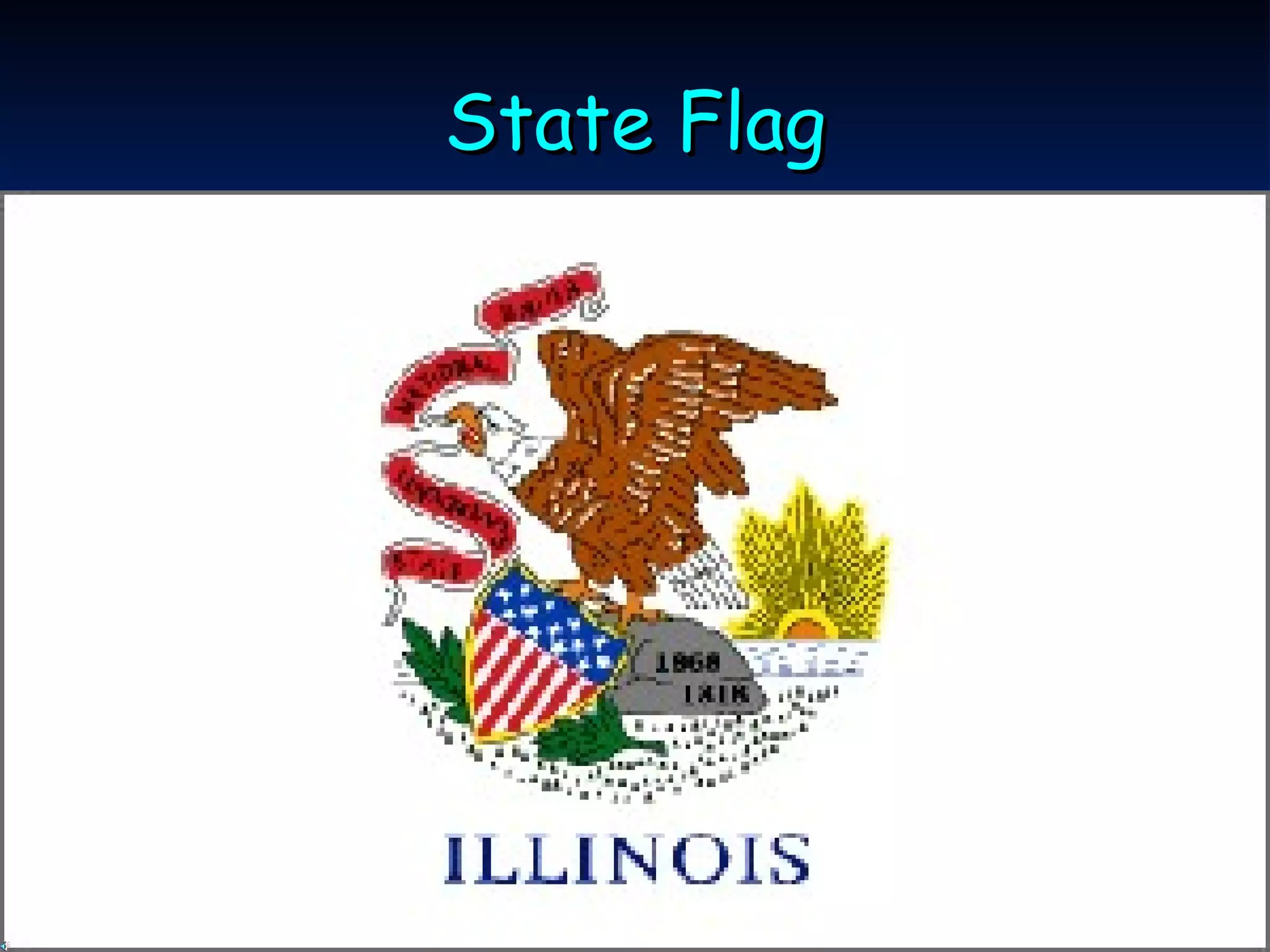 State Flag 