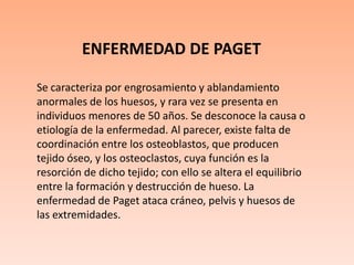 ENFERMEDAD DE PAGETSe caracteriza por engrosamiento y ablandamiento anormales de los huesos, y rara vez se presenta en individuos menores de 50 años. Se desconoce la causa o etiología de la enfermedad. Al parecer, existe falta de coordinación entre los osteoblastos, que producen tejido óseo, y los osteoclastos, cuya función es la resorción de dicho tejido; con ello se altera el equilibrio entre la formación y destrucción de hueso. La enfermedad de Paget ataca cráneo, pelvis y huesos de las extremidades. 