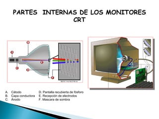 PARTES  INTERNAS DE LOS MONITORES CRT Cátodo Capa conductora Ánodo  D. Pantalla recubierta de fósforo E. Recepción de electrodos  F. Mascara de sombra 