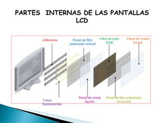 PARTES  INTERNAS DE LAS PANTALLAS LCD reflectores Panel de filtro polarizado vertical Filtro de color RGB Panel de cristal frontal Tubos fluorescentes Panel de cristal liquido Panel de filtro polarizado horizontal 