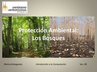 Protección Ambiental:Los Bosques 