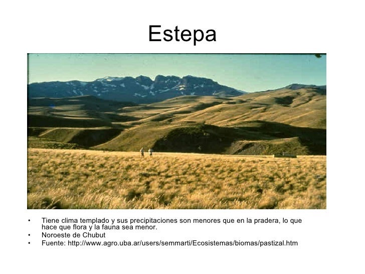 Geografia Anexo Unidad 2 Geografia Anexo Unidad 2