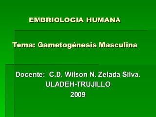 EMBRIOLOGIA HUMANA Tema: Gametogénesis Masculina Docente:  C.D. Wilson N. Zelada Silva. ULADEH-TRUJILLO 2009 