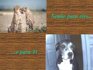 Senão para eles...

...e para Ti

 