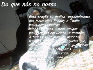 Do que nós no nosso.
Esta oração eu dedico, especialmente,
aos meus cães Freddy e Thalia,
meus companheiros...
minhas paixões...meus amigos...
meus irmãos em Cristo, e também,
a todos os animais do planeta,
para os felizes e para aqueles que,
infelizmente, vivem sob o jugo tirano
de alguns seres perversos
dessa nossa linda Terra, que por
convenção, são ainda chamados
seres HUMANOS.
Fernando Klauk

 