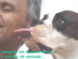 Aumenta em nosso interior
o sentido da amizade...

 