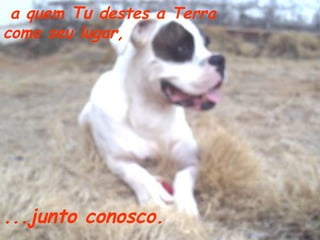 a quem Tu destes a Terra
como seu lugar,

...junto conosco.

 