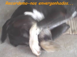 Recordemo-nos envergonhados...

 