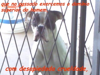 que no passado exercemos o domínio
superior do homem,

com desapiedada crueldade,

 