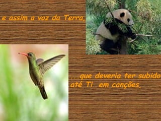 e assim a voz da Terra,...

...que deveria ter subido
até Ti em canções,

 