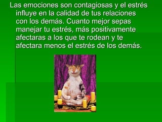 Las emociones son contagiosas y el estrés influye en la calidad de tus relaciones con los demás. Cuanto mejor sepas manejar tu estrés, más positivamente afectaras a los que te rodean y te afectara menos el estrés de los demás. 