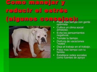 Como manejar y reducir el estrés (algunos consejos):  Pasa más tiempo con gente optimista Cultiva un clima social amistoso. Evita los pensamientos negativos. Tomate tu tiempo. Disfruta de vacaciones “reales”.  Deja el trabajo en el trabajo. Pasa mas tiempo con tu familia.  Establece redes sociales como fuentes de apoyo 