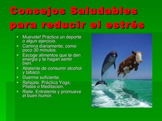 Consejos Saludables para reducir el estrés Muevete! Práctica un deporte o algun ejercicio. Camina diariamente, como poco 30 minutos. Escoge   alimentos  que te den energia y te hagan sentir bien. Abstente de consumir alcohol y tabaco. Duerme  suficiente. Relajate. Práctica Yoga, Pilates o Meditacion. Riete . Entretente y promueve el buen humor . 