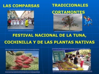 LAS COMPARSAS     TRADICIONALES
                  CORTAMONTES




   FESTIVAL NACIONAL DE LA TUNA,
COCHINILLA Y DE LAS PLANTAS NATIVAS
 