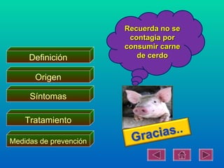 Recuerda no se
                         contagia por
                        consumir carne
     Definición            de cerdo

      Origen

     Síntomas

    Tratamiento

Medidas de prevención
 