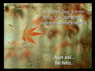 Si tienes paz y eres feliz, las  personas pueden  sentir envidia. Aún así… Sé feliz.   