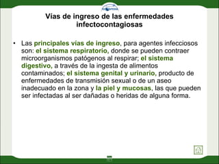 Vías de ingreso de las enfermedades infectocontagiosas Las  principales vías de ingreso , para agentes infecciosos son:  el sistema respiratorio,  donde se pueden contraer microorganismos patógenos al respirar;  el sistema digestivo,  a través de la ingesta de alimentos contaminados;  el sistema genital y urinario,  producto de enfermedades de transmisión sexual o de un aseo inadecuado en la zona   y  la piel   y mucosas , las que pueden ser infectadas al ser dañadas o heridas de alguna forma.  