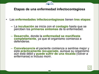 Etapas de una enfermedad infectocontagiosa Las  enfermedades infectocontagiosas  tienen  tres etapas :  La  incubación  se inicia con el  contagio  hasta que se perciben los  primeros síntomas  de la enfermedad.  Desarrollo , donde la  enfermedad se manifiesta completamente , ya que el organismo comienza a defenderse.  Convalecencia  el paciente comienza a sentirse mejor y está  prácticamente recuperado , aunque su organismo aún está débil y  puede sufrir de una recaída  (volver a enfermarse) e incluso morir. 