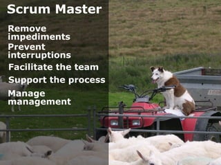 Scrum Master
Remove
impediments
Prevent
interruptions
Facilitate the team
Support the process
Manage
management
 