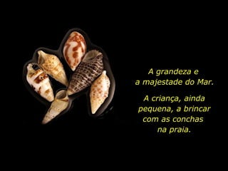 A grandeza e  a majestade do Mar. A criança, ainda pequena, a brincar com as conchas  na praia. 