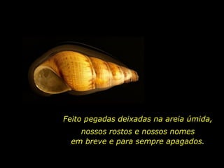 nossos rostos e nossos nomes em breve e para sempre apagados. Feito pegadas deixadas na areia úmida, 