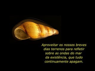 Aproveitar os nossos breves dias terrenos para refletir sobre as ondas do mar  da existência, que tudo continuamente apagam. 