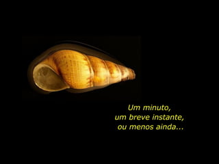 Um minuto,  um breve instante,  ou menos ainda... 
