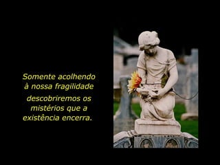Somente acolhendo à nossa fragilidade descobriremos os mistérios que a existência encerra.  