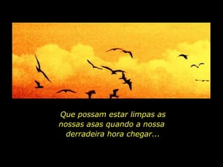 Que possam estar limpas as nossas asas quando a nossa  derradeira hora chegar... 