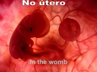 Um feto de poucas semanas encontra-se  no interior do útero de sua mãe. In the womb No útero  