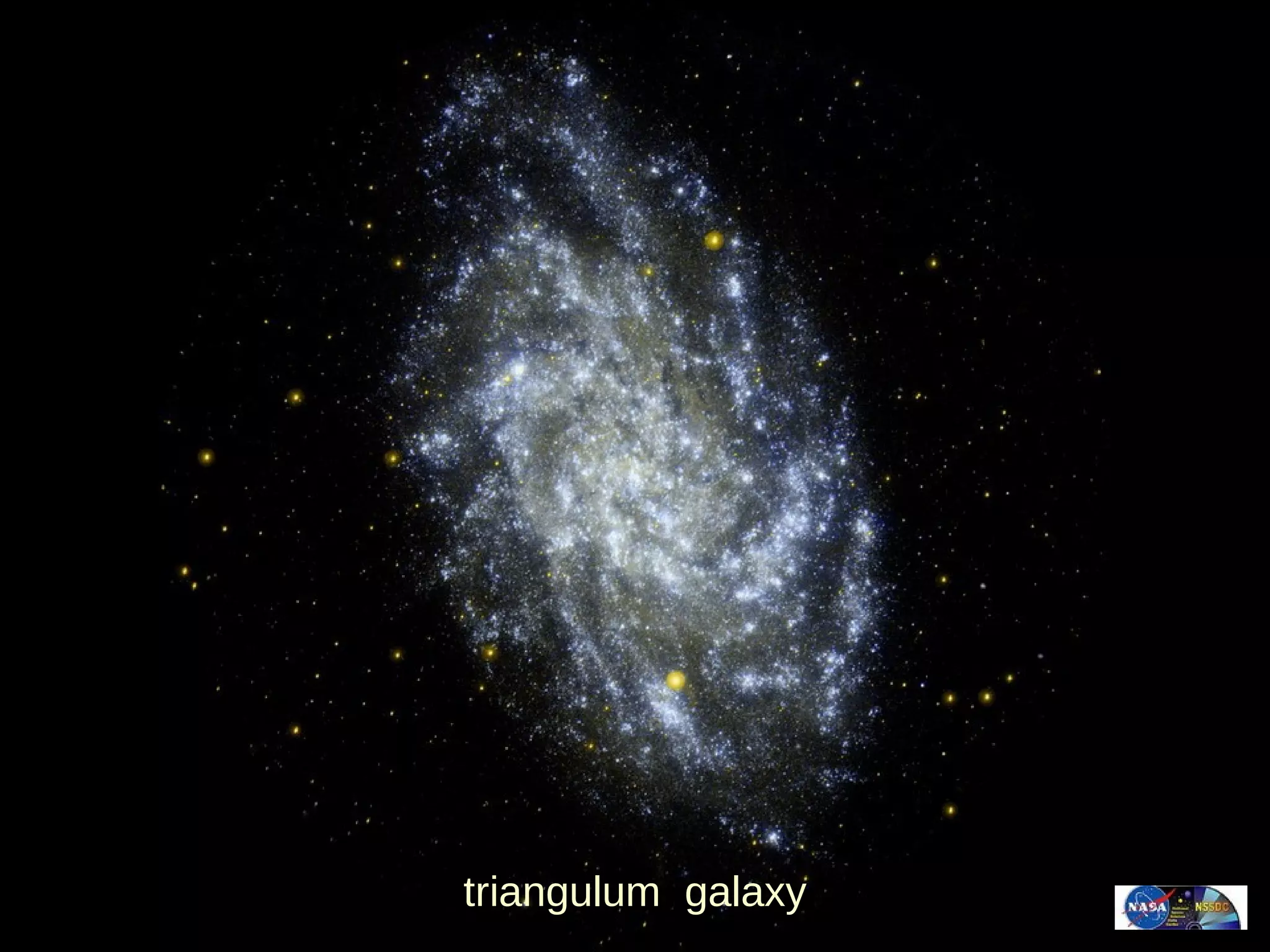 triangulum  galaxy 
