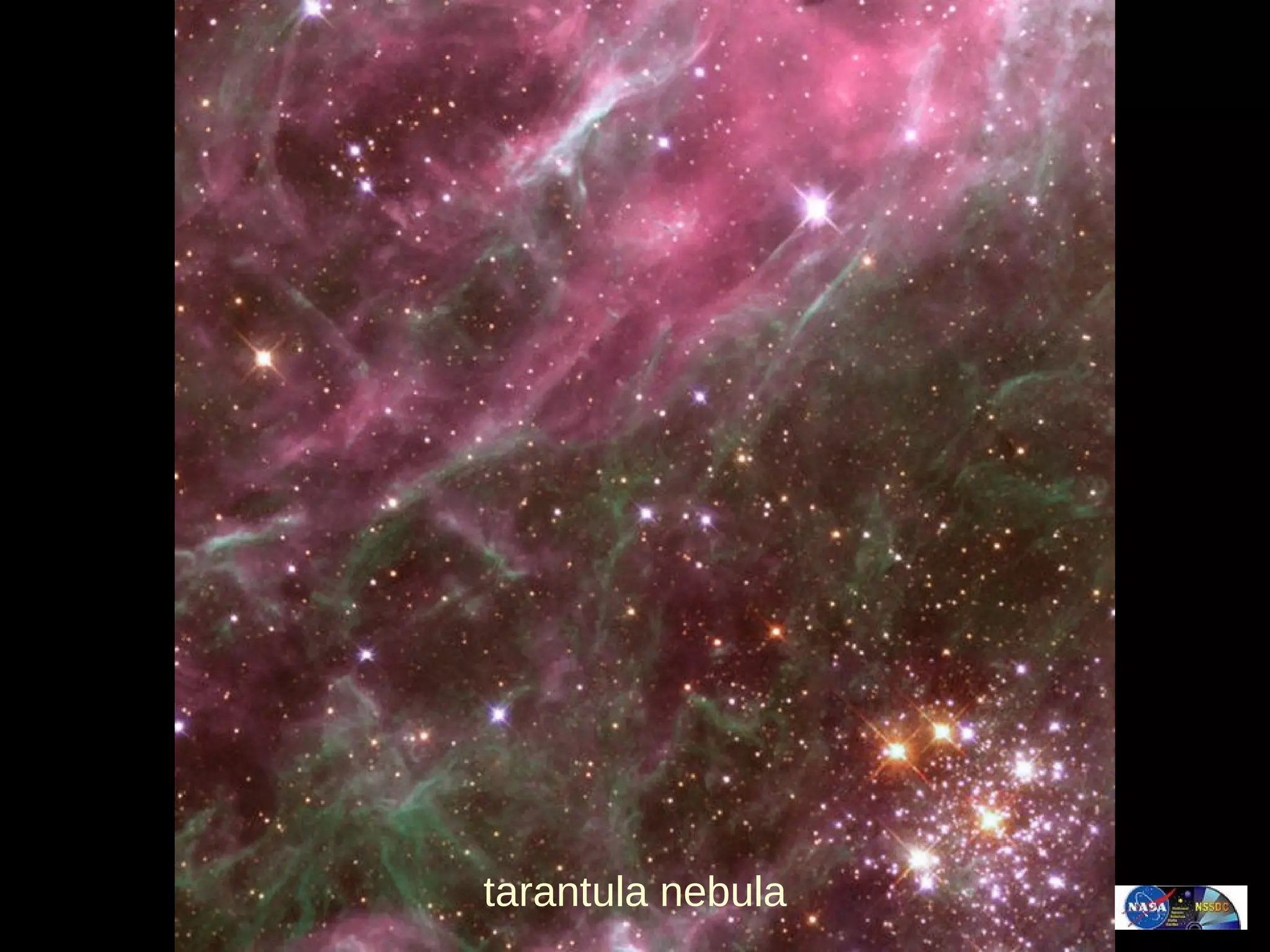 tarantula nebula 