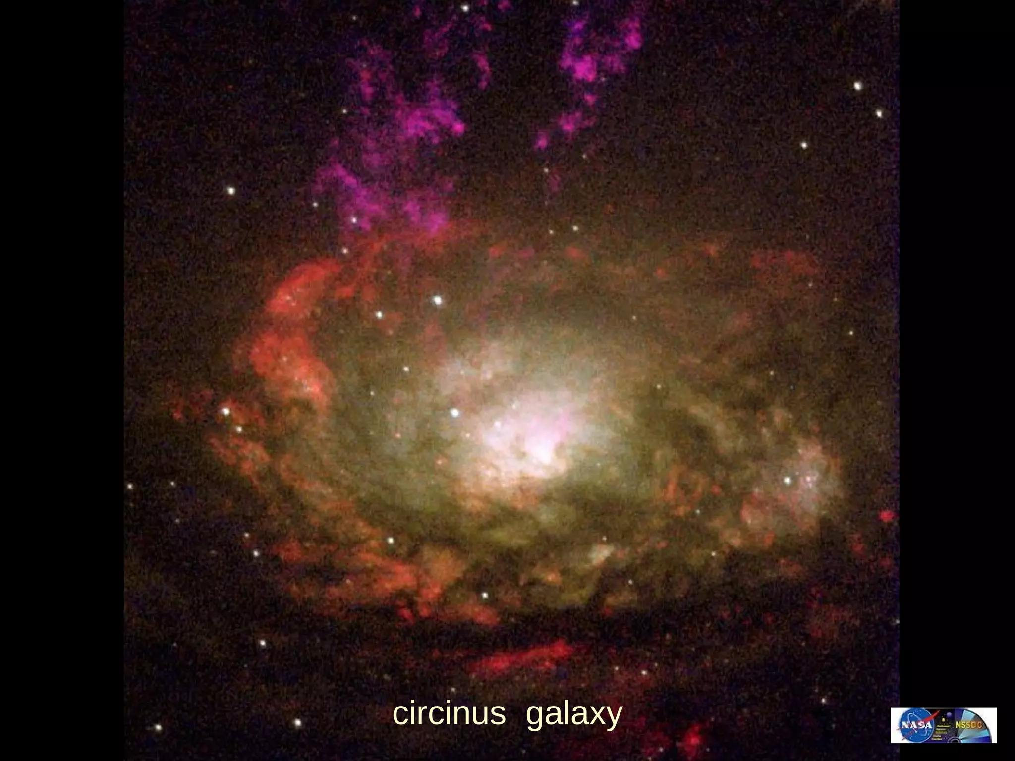 circinus  galaxy 