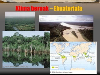 Klima beroak  – Ekuatoriala  
