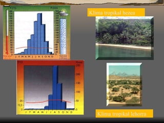 Klima tropikal hezea Klima tropikal lehorra 