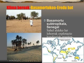 Klima beroak -Basamortukoa-Eredu bat Basamortu subtropikala , Senegal Sahel aldeko lur lehorrak explotazio handiegiak eragiten dien kalteek jasatzen dituzte,  eta areagotu egiten da urtaro lehorretan 
