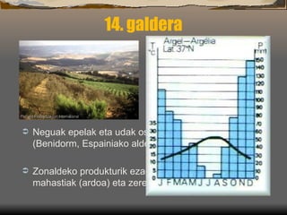 14. galdera Neguak epelak eta udak oso beroak eta lehorrak (Benidorm, Espainiako alderik nagusiena) Zonaldeko produkturik ezagunenak :  olibondoak (olioa) mahastiak (ardoa) eta zerealak (garia) 