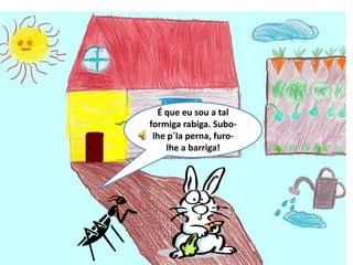 O coelhinho branquinho