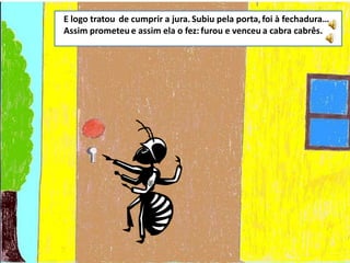 O coelhinho branquinho