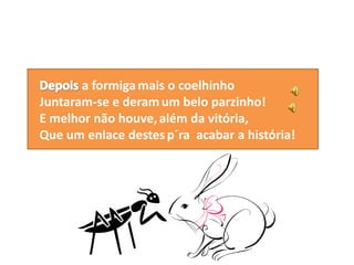 O coelhinho branquinho