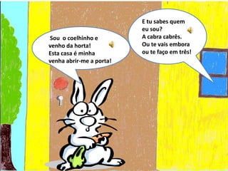 O coelhinho branquinho